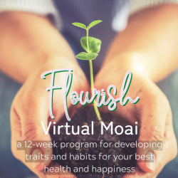 Flourish 2026 Payment Plan - 12 week virtual program