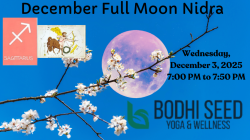 Full Moon Yoga Nidra