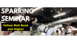2025 Winter Sparring Seminar