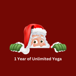 Holiday 1 Year Unlimited Special