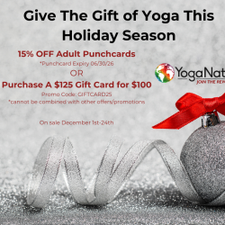 2025 Holiday Punchcard - 20