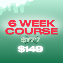 Christmas Deal - 6-Week Beginner Course