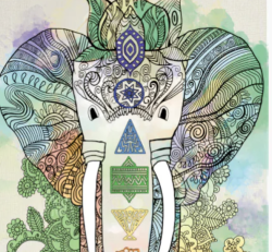 Eco-Friendly Yoga Mats