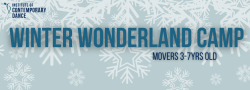 Winter Wonderland Camp