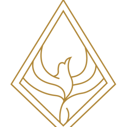 Two Week New Student Special