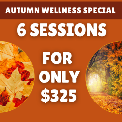 Autumn Wellness Special - 6 EESystem 2-Hour Sessions
