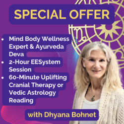 60 Minute Cranial Therapy or Vedic Astrology & 2-Hour EESystem Session