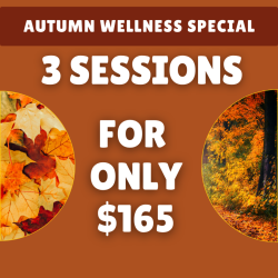 Autumn Wellness Special - 3 EESystem 2-Hour Sessions