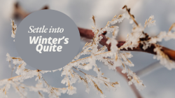 Settle into Winter's Quiet