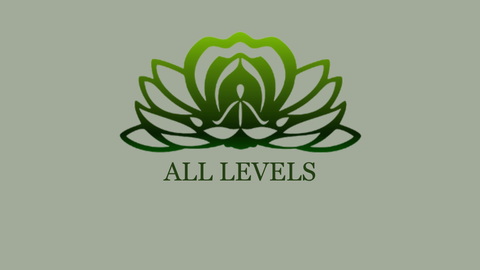 All Levels