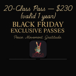 Black Friday- 20-Class Pass — $230  (valid 1 year)