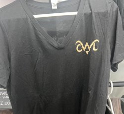 Women's Bella V Neck T-Shirt