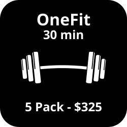 30 min OneFit (5-pack)