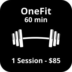60 min OneFit (Single Session).
