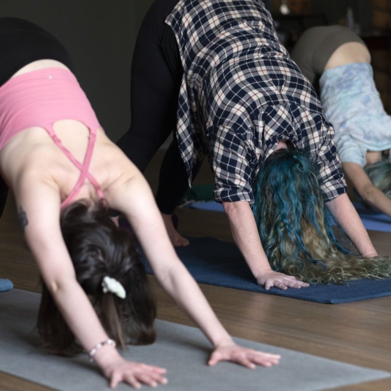 Vinyasa Yoga