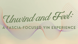 Unwind and Feel: A Fascia-Focused Yin Experience