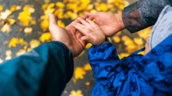 The Parent Reset: Easy Mindfulness Habits for Families