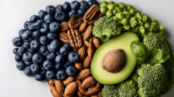 Brain Fuel: Foods That Support Memory & Focus