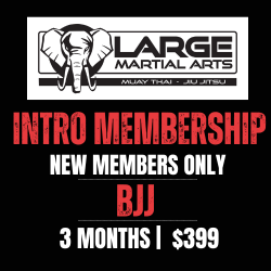 NEW MEMBER | Intro to Brazilian Jiu Jitsu - 3 months