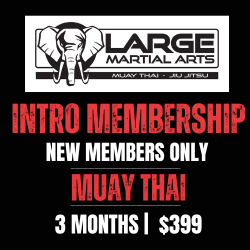 NEW MEMBER | Intro to Muay Thai Kickboxing - 3 months