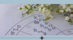 Planning Your Year with Astrology (In-Person)