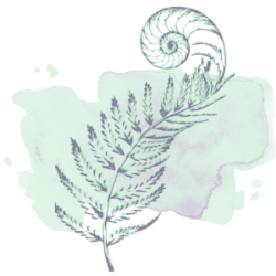 December Special: 3 Class Pass