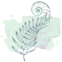 Student Monthly Membership