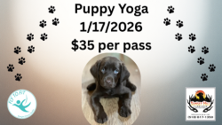 Puppy Yoga 1/17 @2:00 PM