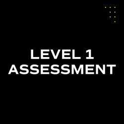 LEVEL 1 ASSESSMENT
