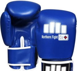 NFC Youth 6/8oz gloves