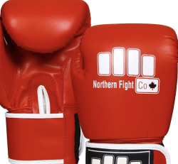 NFC Youth 6/8oz gloves