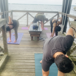 Teacher/Student Rate