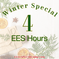 Winter Special 4 EESystem hours