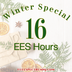 Winter Special 16 EESystem hours