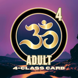 Adult 4-Class Card