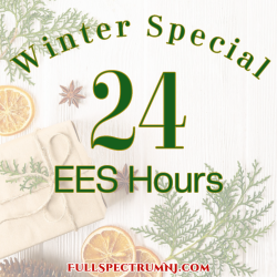 Winter Special 24 hours EESystem