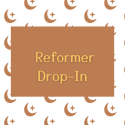 Reformer Drop In