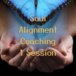 Soul Alignment Coaching
