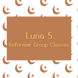 Luna 5 (reformer)