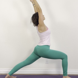 LEVEL 1 SERIES (4 Tuesdays) -POST 1/1