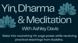 Yin, Dharma & Meditation