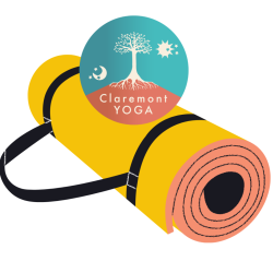 Drop in + Mat/Foam Roller