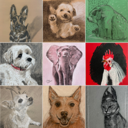 Drawing Animals on Tonal Paper Recordings