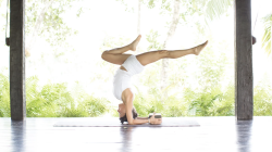 NEW YEAR, NEW YOU: A Weekend Immersion with Amy Ippoliti - FULL WEEKEND - LIVESTREAM