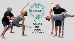 Hands-On Yoga Assists and Effective Cuing