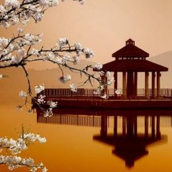 60 Minute Swedish Relaxation Massage