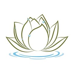 6 Strech Therapy Session Package