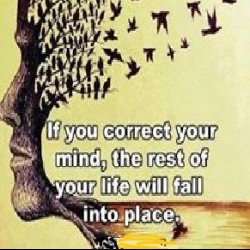 Meditation & Daily Life