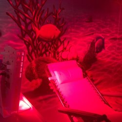 Buy 3 Red/NIR/Blue Light Lagoon Room  Session Get One Free