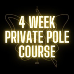 4 WEEK PRIVATE POLE COURSE
